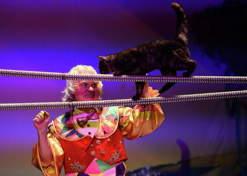 Театр кошек Куклачева