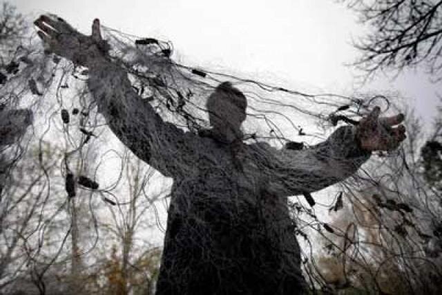 Фото из "Яндекс картинки"