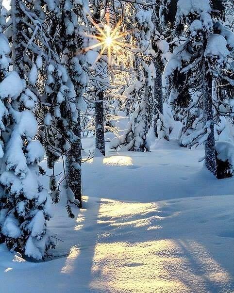 Фото Сергея Маркина