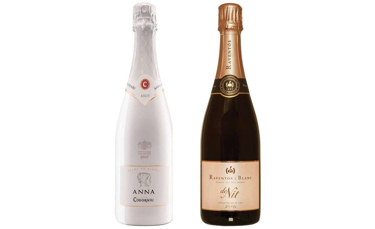 Anna de codorniu brut. Шампанское Cava Domenech Vintage. Raventos i Blanc, Blanc de blancs Brut. Кава Анна де Кодорню Блан де Блан 0,2. Кава Кодорнью Классико брют.