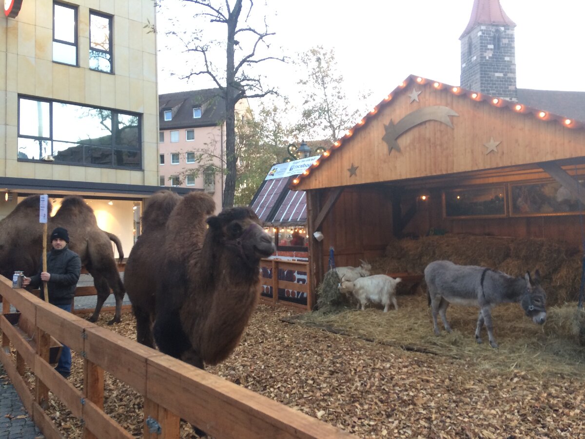 Живой Вертеп в Нюрнберге. Фото Александры Кудрявцевой
