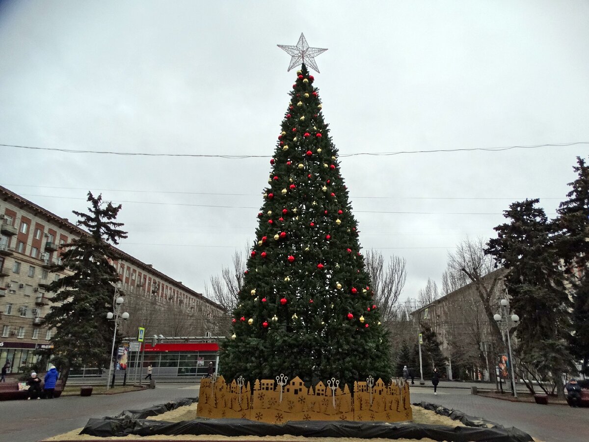 Новый год 2024 волгоград. Главная елка Волгограда 2022. Главная ёлка в Волгограде зимой. Елки растут в Волгограде. Волгоград новый год.