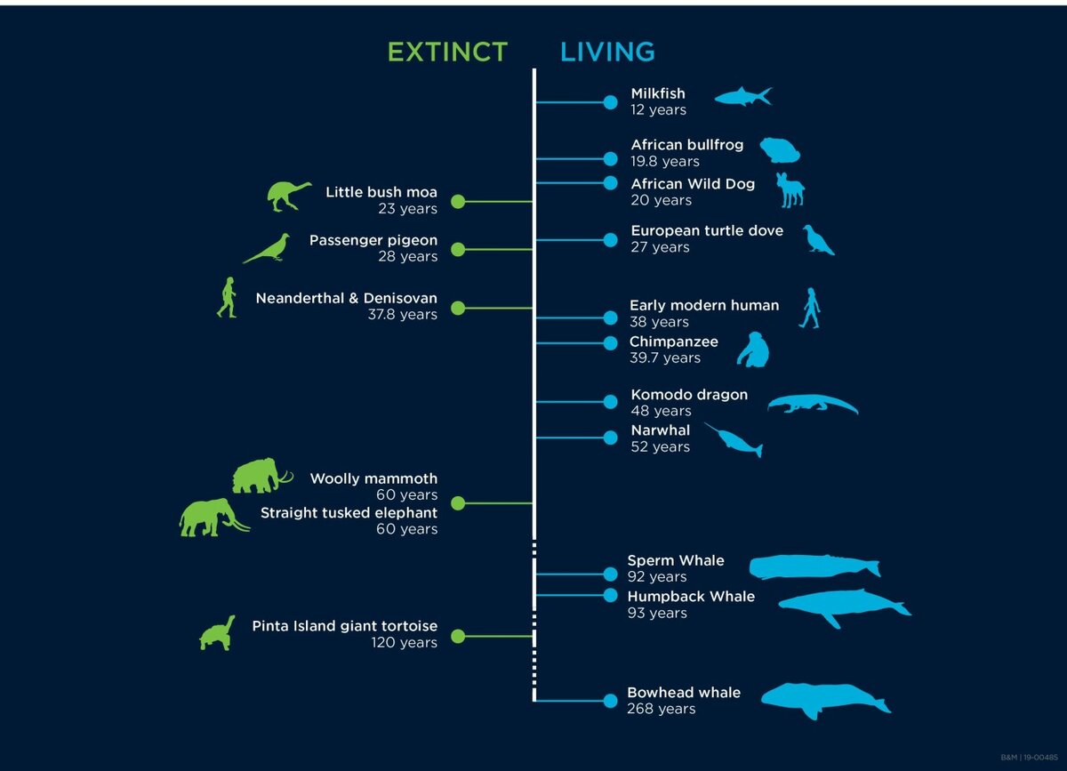 Источник: CSIRO