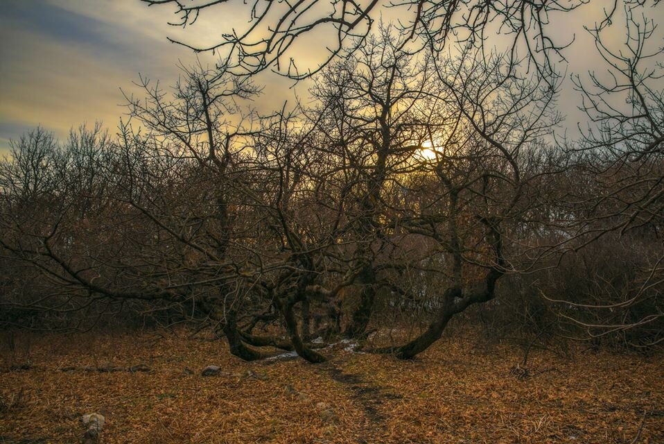 Фото Елены Брежицкой