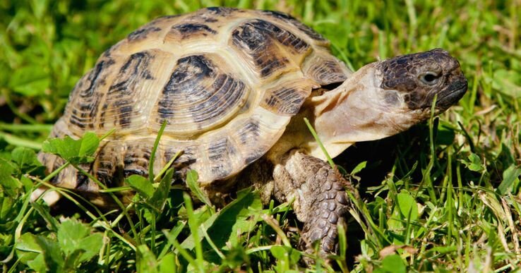 Фото: therichest.com