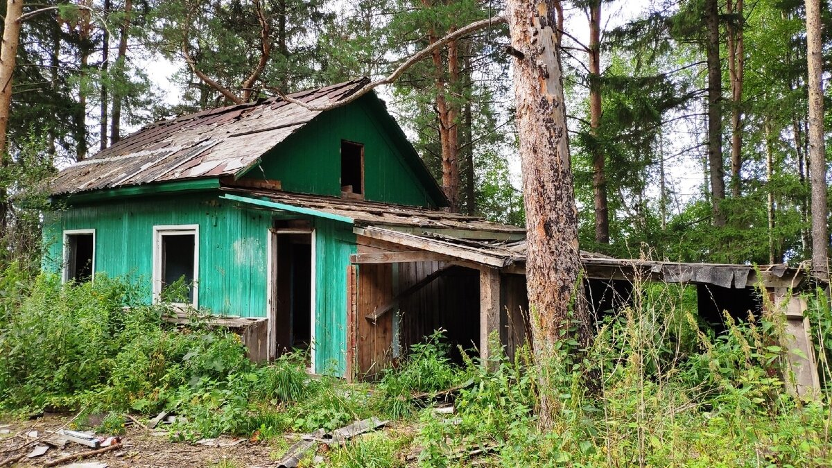 сторож сторожка. упражнение 201 по русскому языку 3 класс 1 часть страница 107. сторож сторожка. сторож сторожка. баулинский лес.