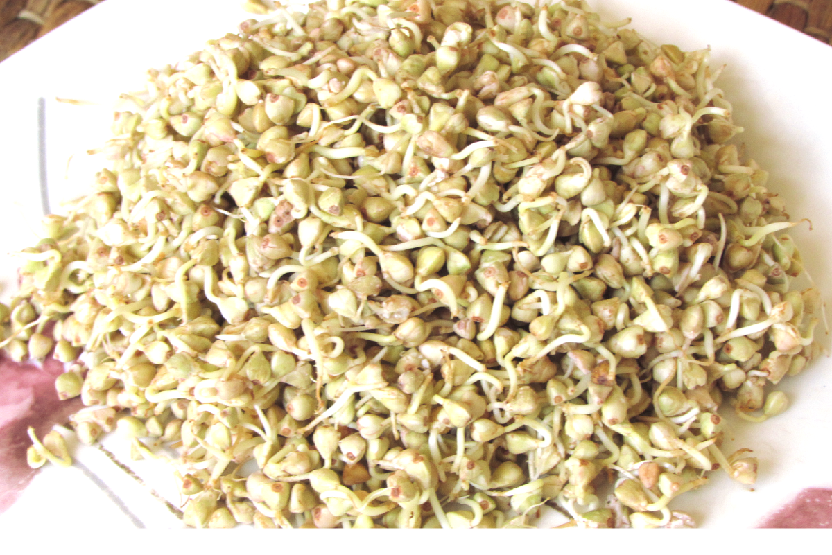 Полезные сладости Buckwheat из пророщенной зеленой гречки купить