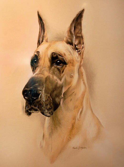 Яндекс картинки.