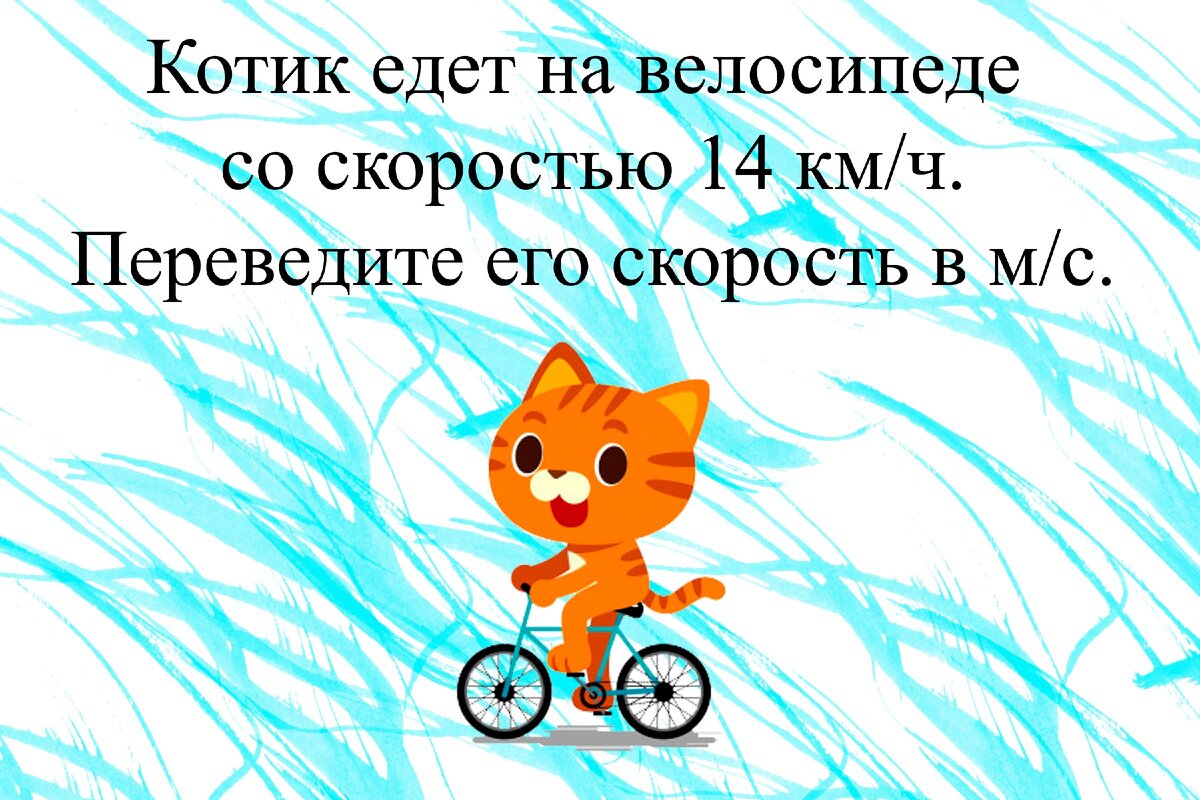 Даже у котика есть велосипед.