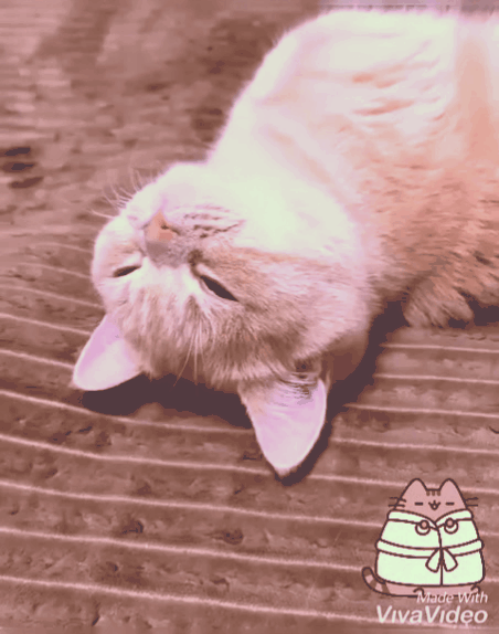 Лучше спать, чем встречаться непонятно с кем!