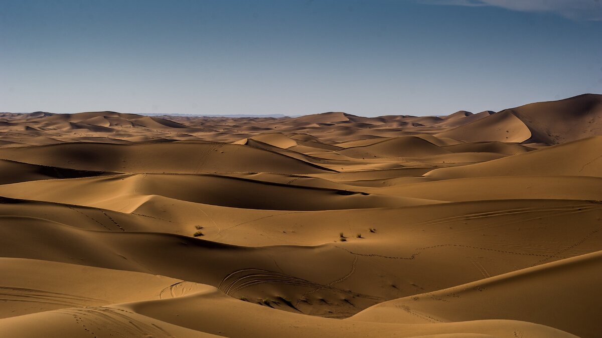 Январь 2020, Загора