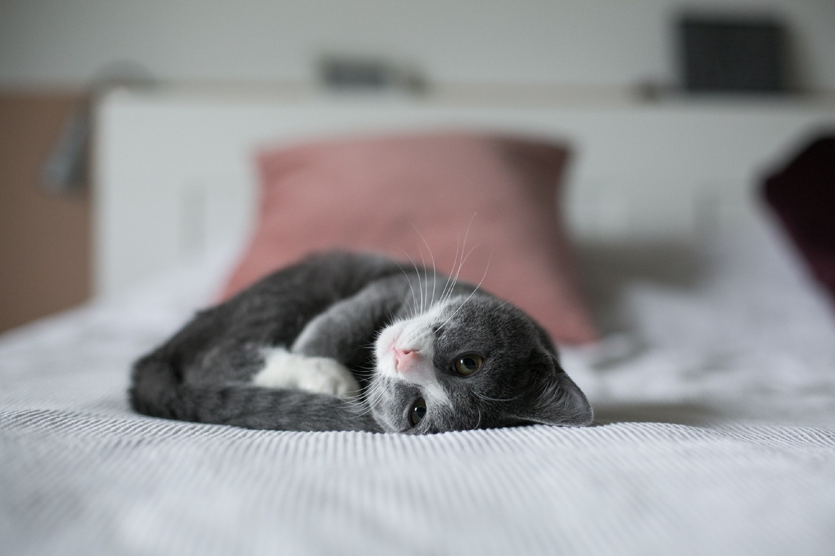 Photo by Nine Köpfer on Unsplash