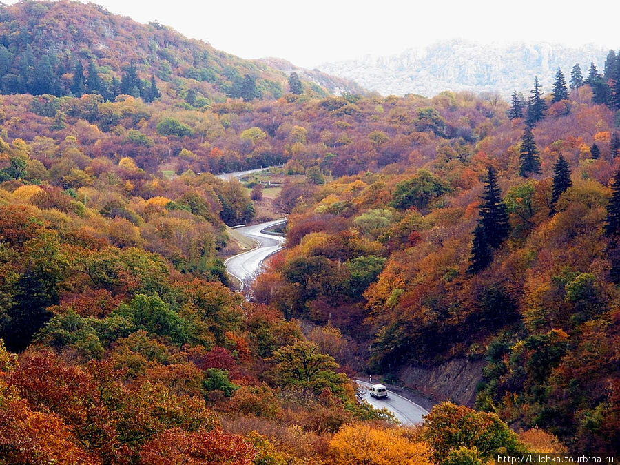 Осень в Боржоми