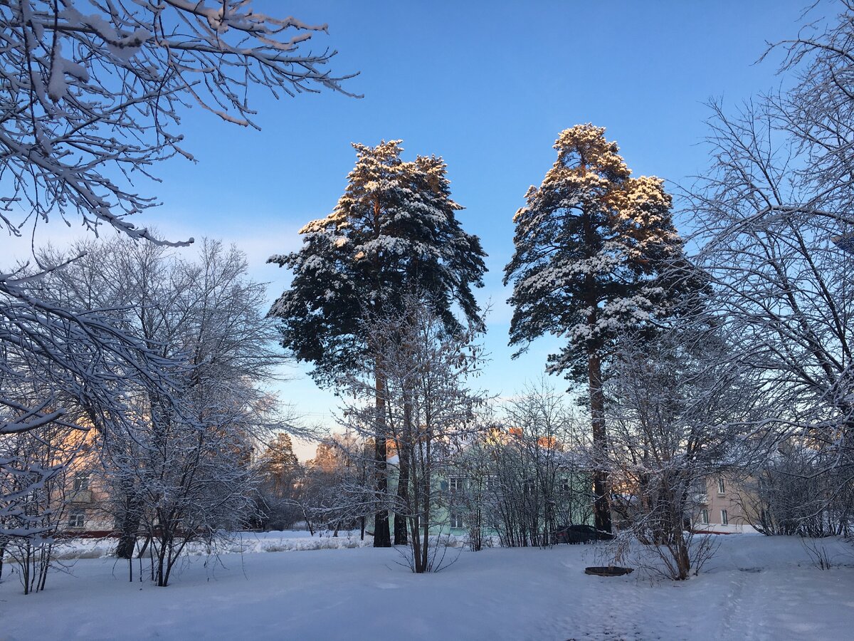 В окрестностях нашего поселка. Фото мое