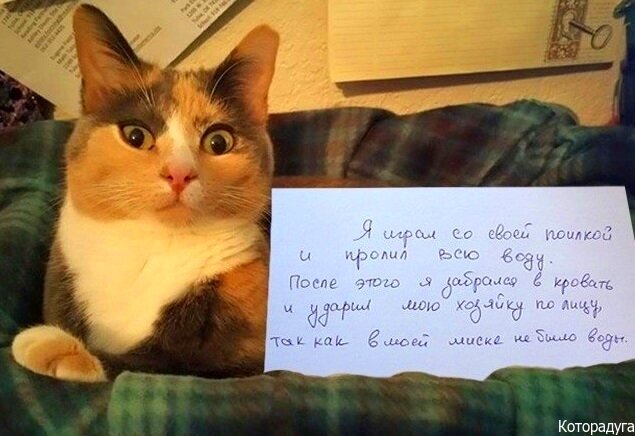 Источник: pinterest.com