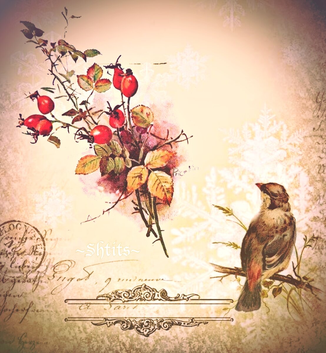 ©️ Ольга Штиц 