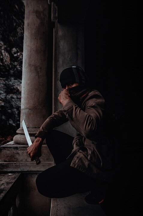 Использована фотография с https://pixabay.com/ по лицензии CC0