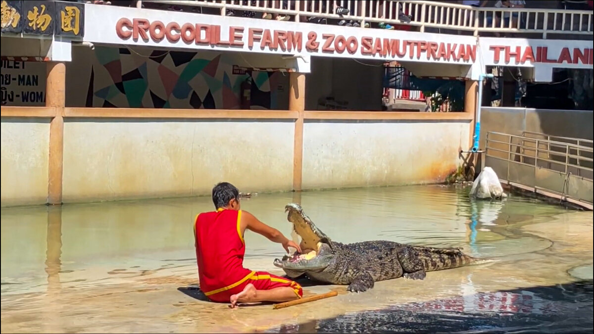 Крокодиловая ферма, Бангкок