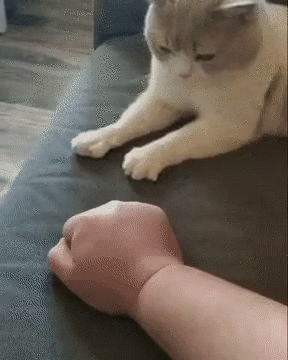 -11