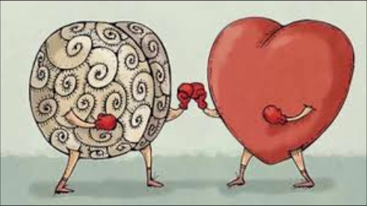 Фото из Интернета 