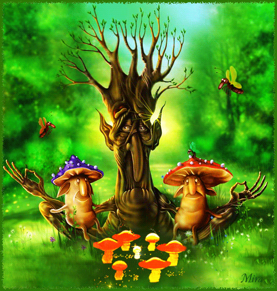 Pinterest.ie Фото, автор Mira на Яндекс.