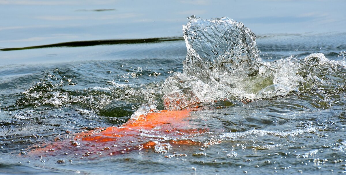 Стул плавает на поверхности воды