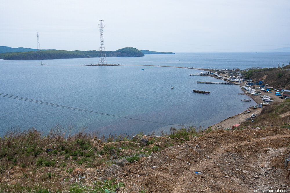 Кошка Токаревского. Владивосток 