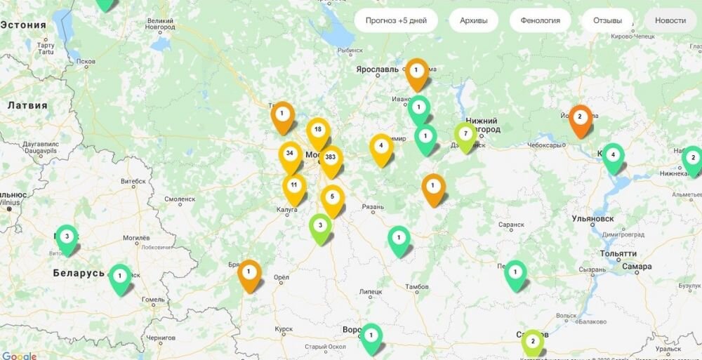 Карта распространения пыльцы для аллергиков московская область