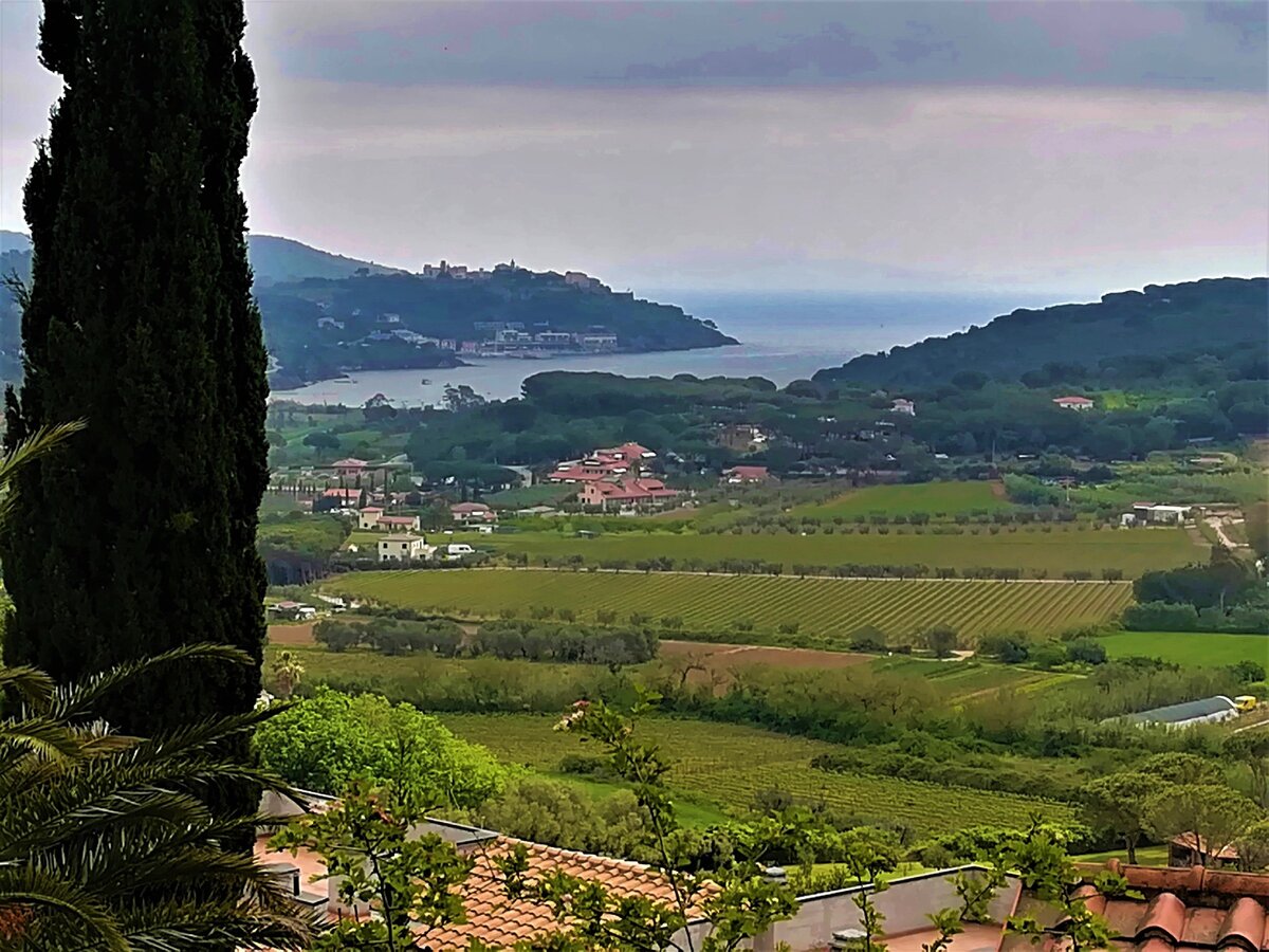 эльба 4 буквы. эльба программа. эльба 4 буквы. эльба италия погода. эльба венера.