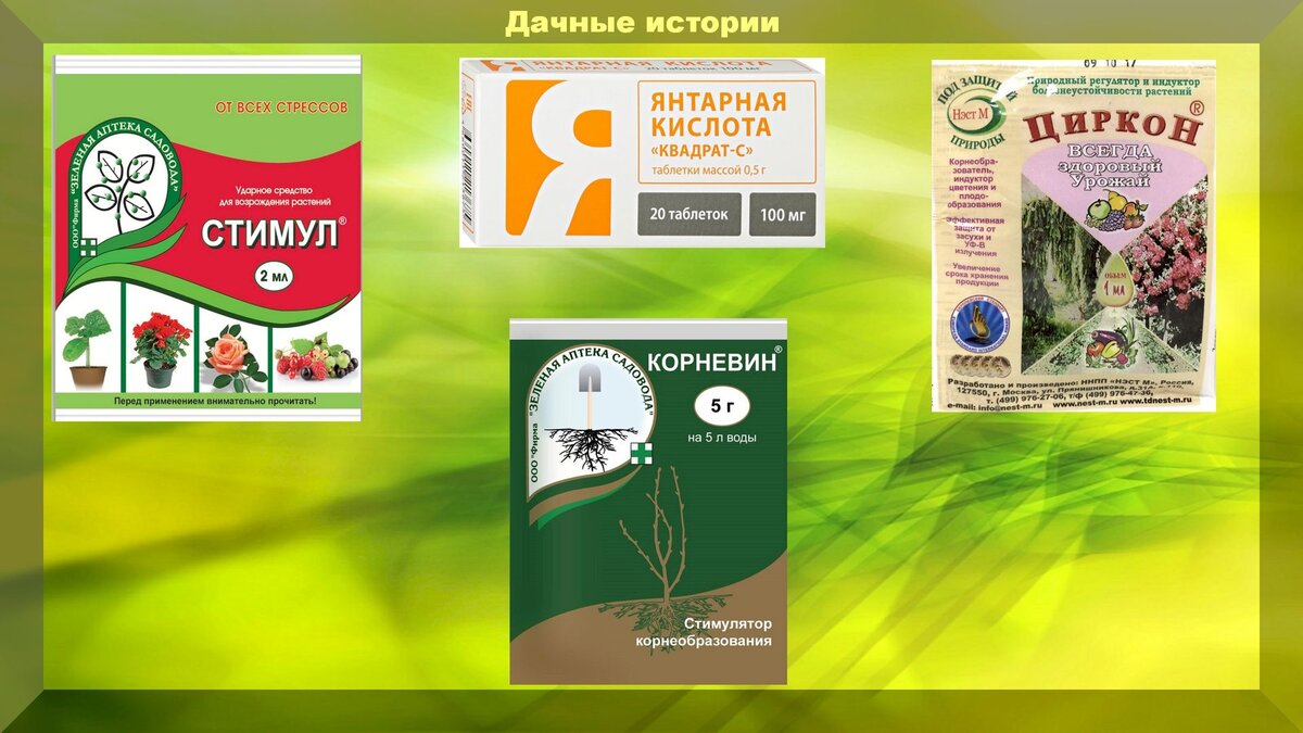 https://vk.com/photo-159774511_457243576