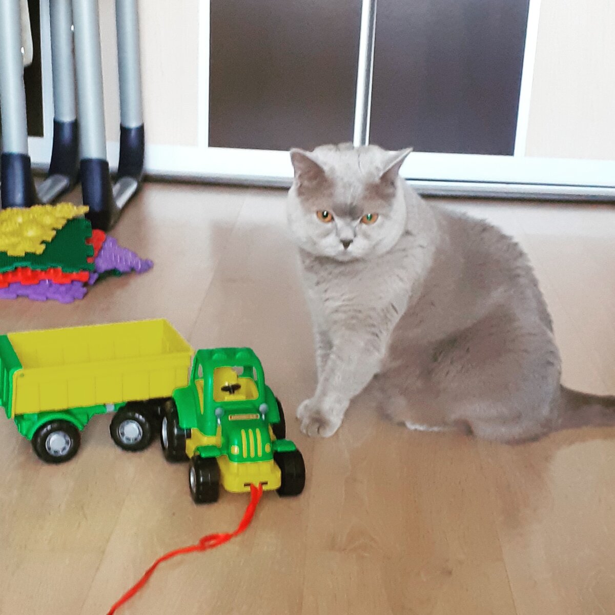 "Когда же вы уйдете хоть куда-нибудь"