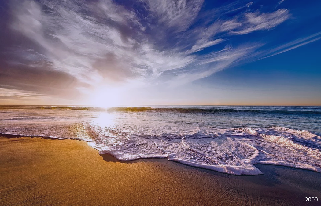 Изображения взяты с сайтов pixabay и wikipedia.