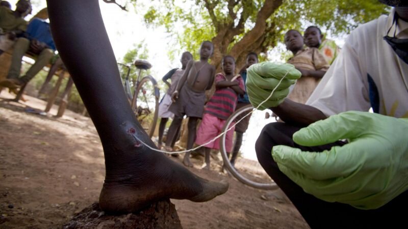 Изображения взяты из сервиса "Яндекс картинки"