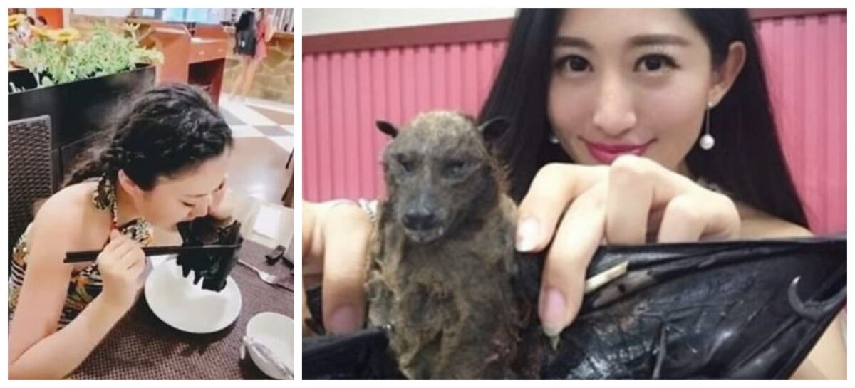 Девушка из Китая ест летучую мышь