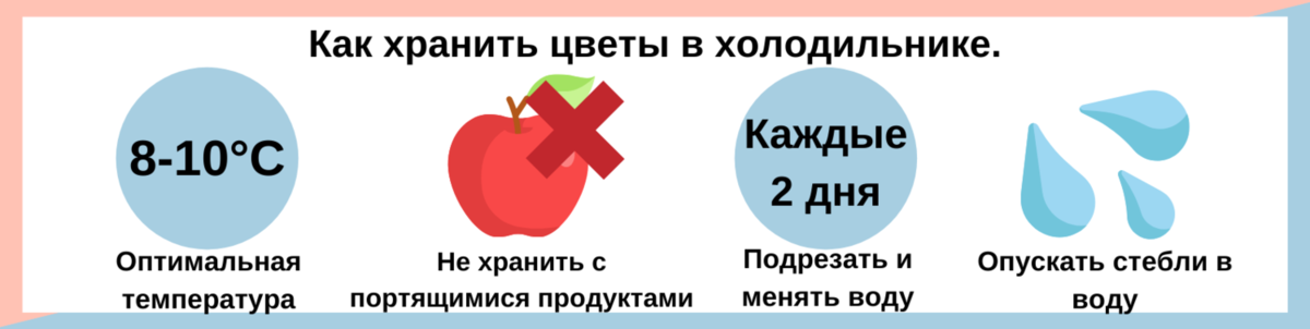 При какой температуре хранят цветы в холодильнике. Температура хранения срезанных цветов. При какой температуре хранить цветы. При какой температуре хранить букет цветов. При какой температуре хранить розы.