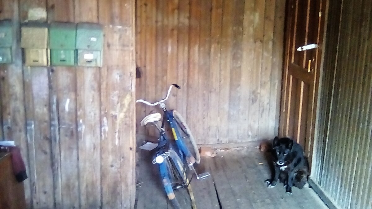 Вот он , верно не дает войти в хозяйскую дверь