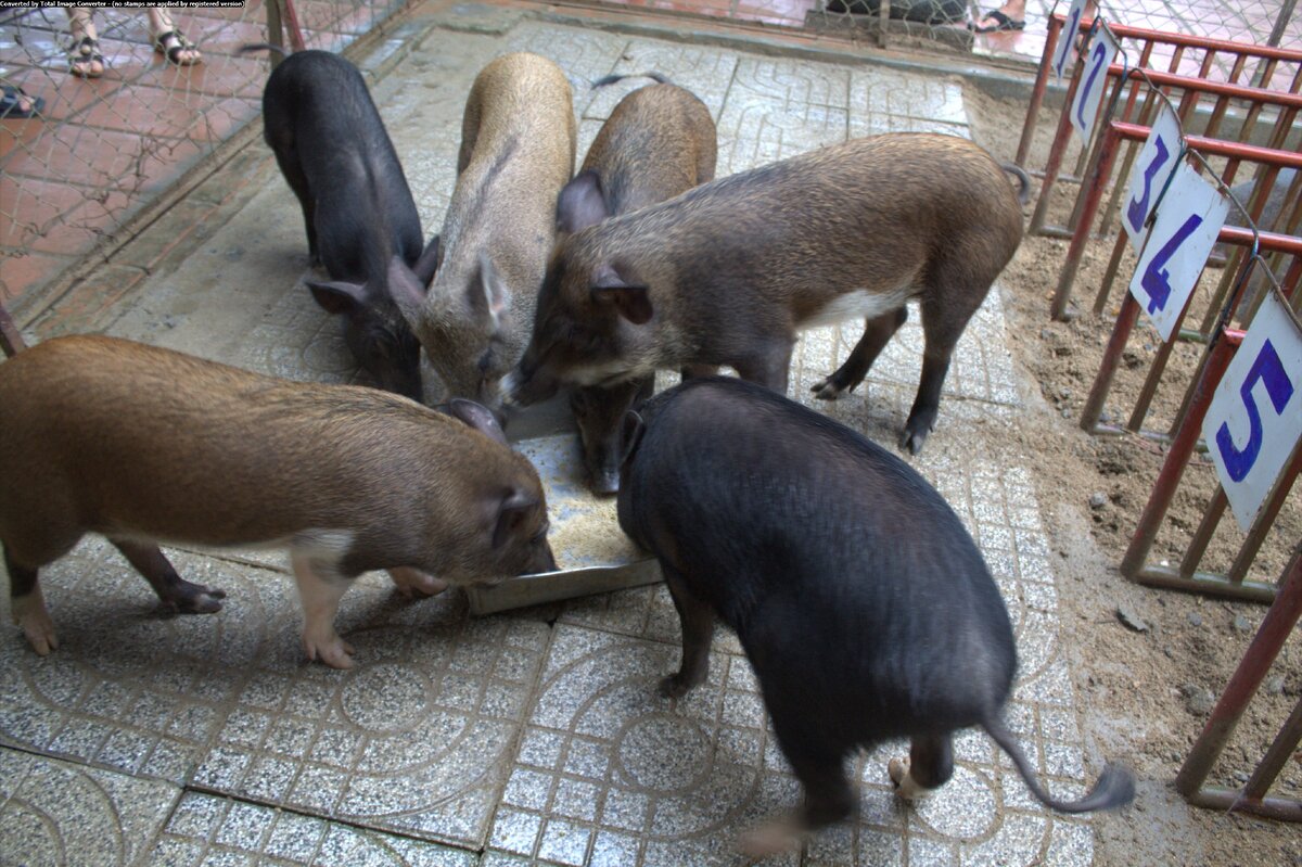 авторское фото.