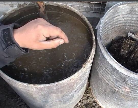 Фото из открытых источников Интернета