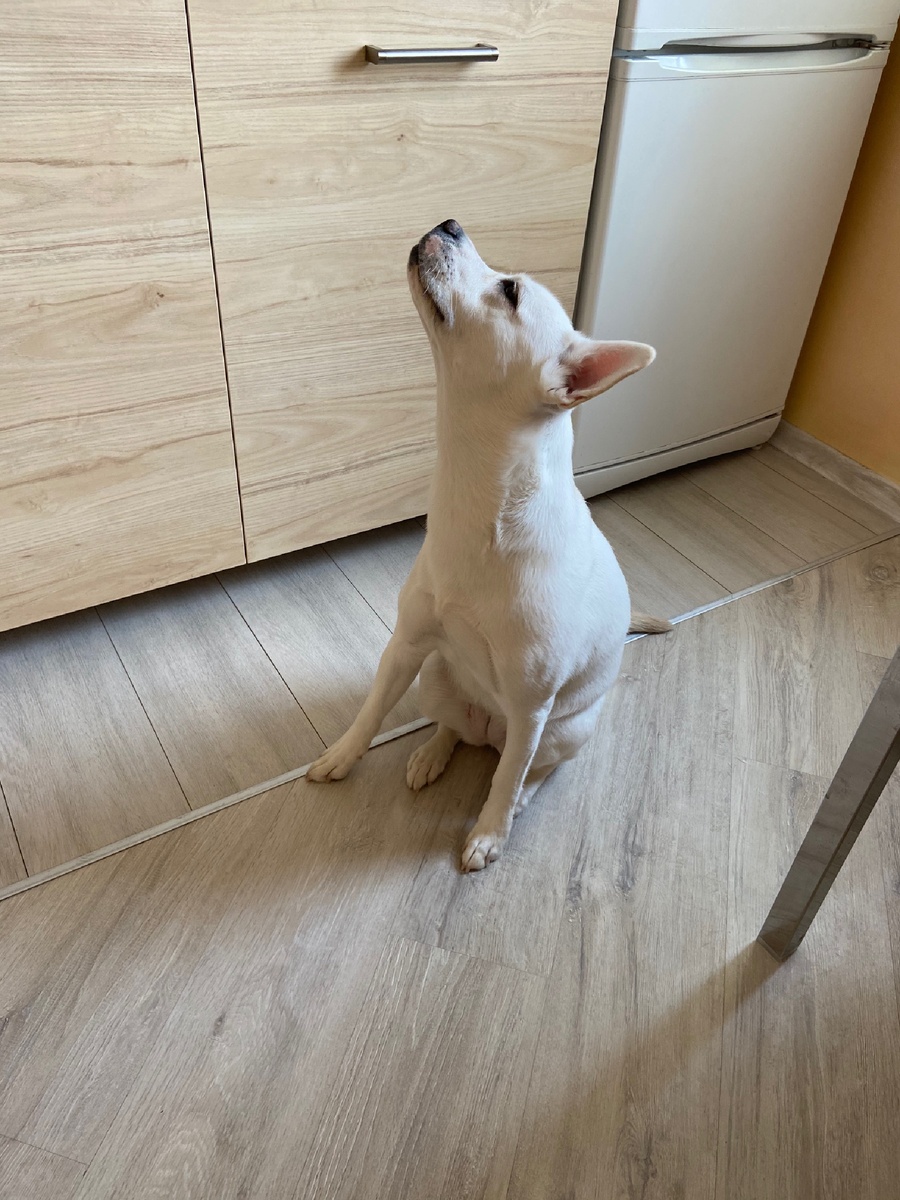 На карантине. 