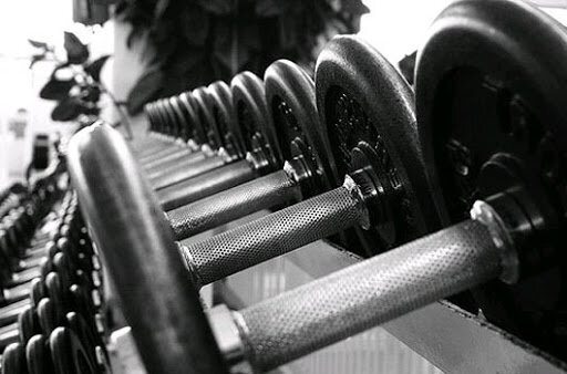 изображение взято с сайта: King of Fitness