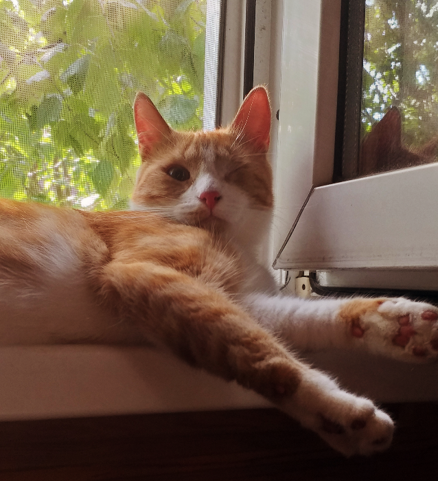 Рикки. Она не звезда этого выпуска, но фото на фоне открытого окна довольно показательно.