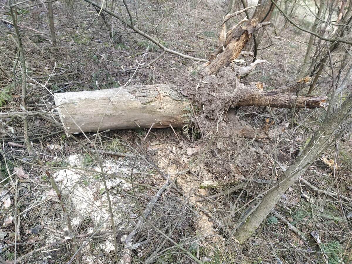 Кто-то меня опередил