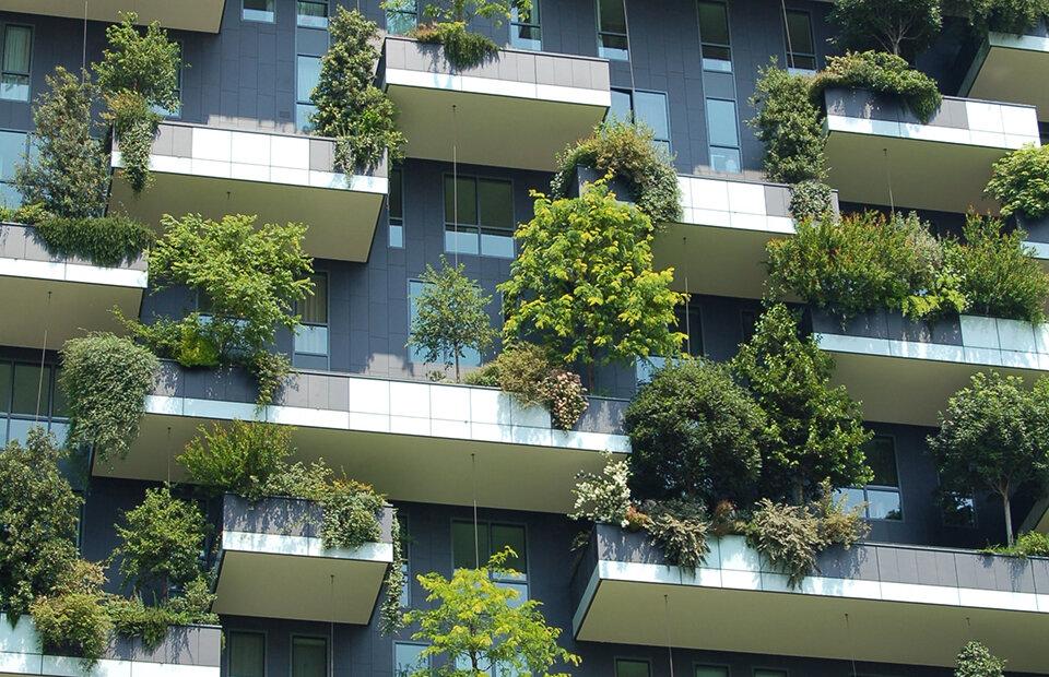 © СHRIS BARBALIS/UNSPLASH