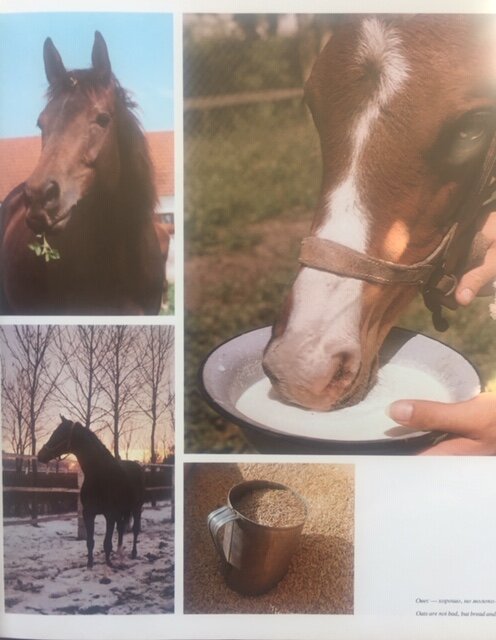 Фото из Дедукиной книги