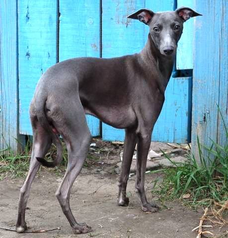 "Гм... Закрыто!!!" 