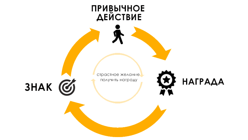 Примерная схема, как работает наш мозг, когда мы говорим о привычках.
