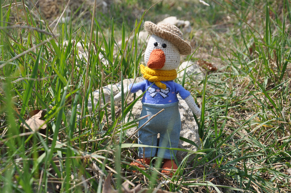 фото  и работа автора