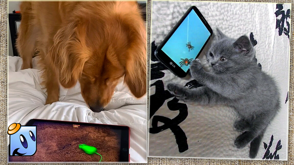 Два геймера со стажем.