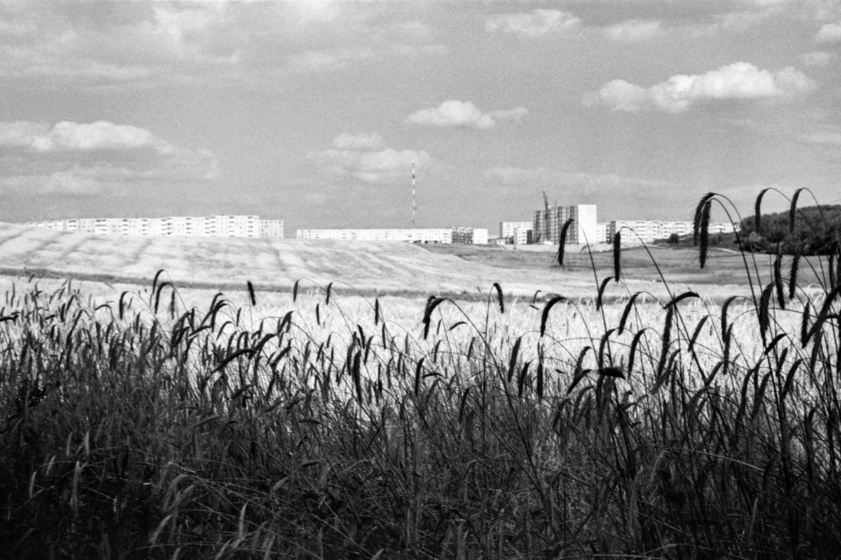 Из семейного архива Ольги Чагровой (Федяевой)