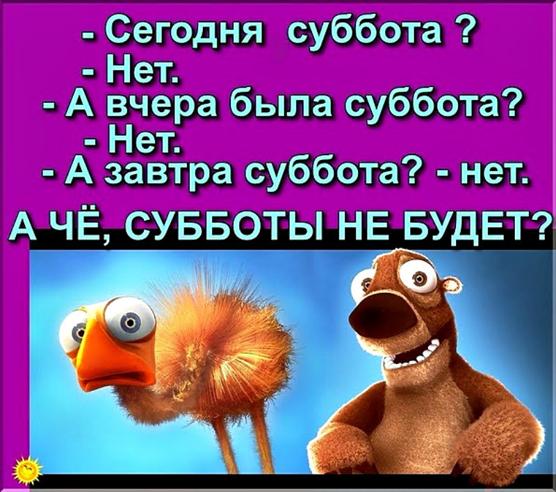 Суббота есть суббота и никаких хлопот картинки